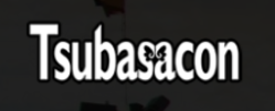 Tsubasacon 2017